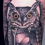 Prints-For-Sale - Owl   - 134014